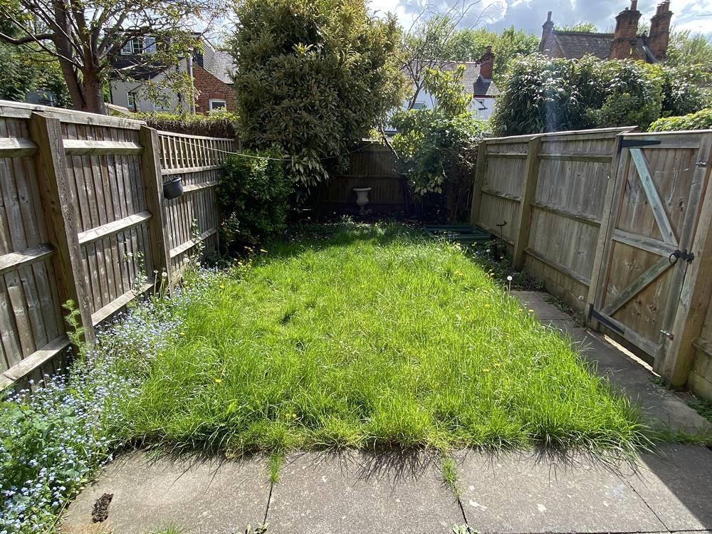 garden.jpg
