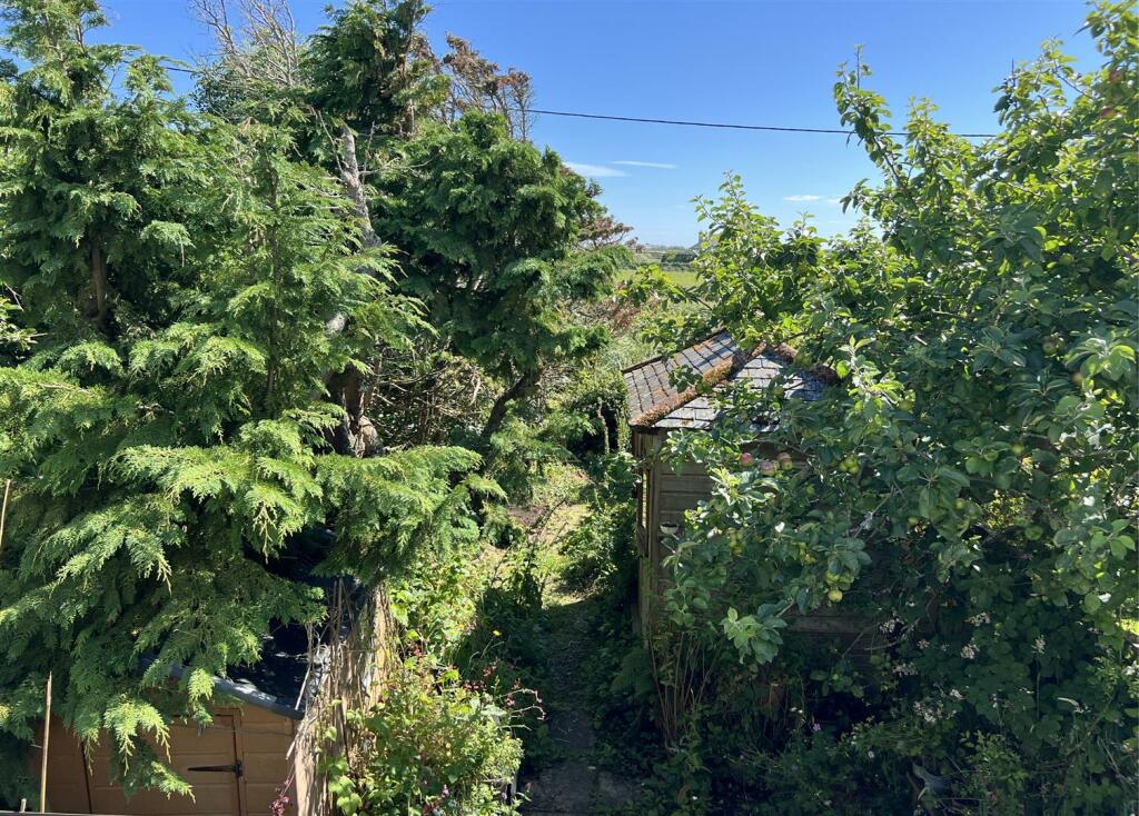 garden 8.jpg
