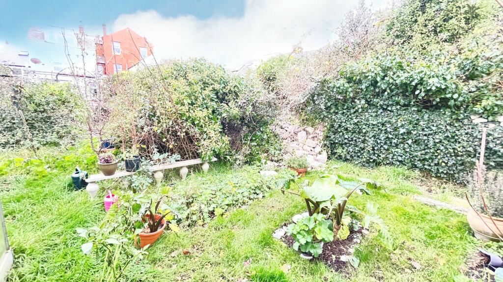 Garden 3