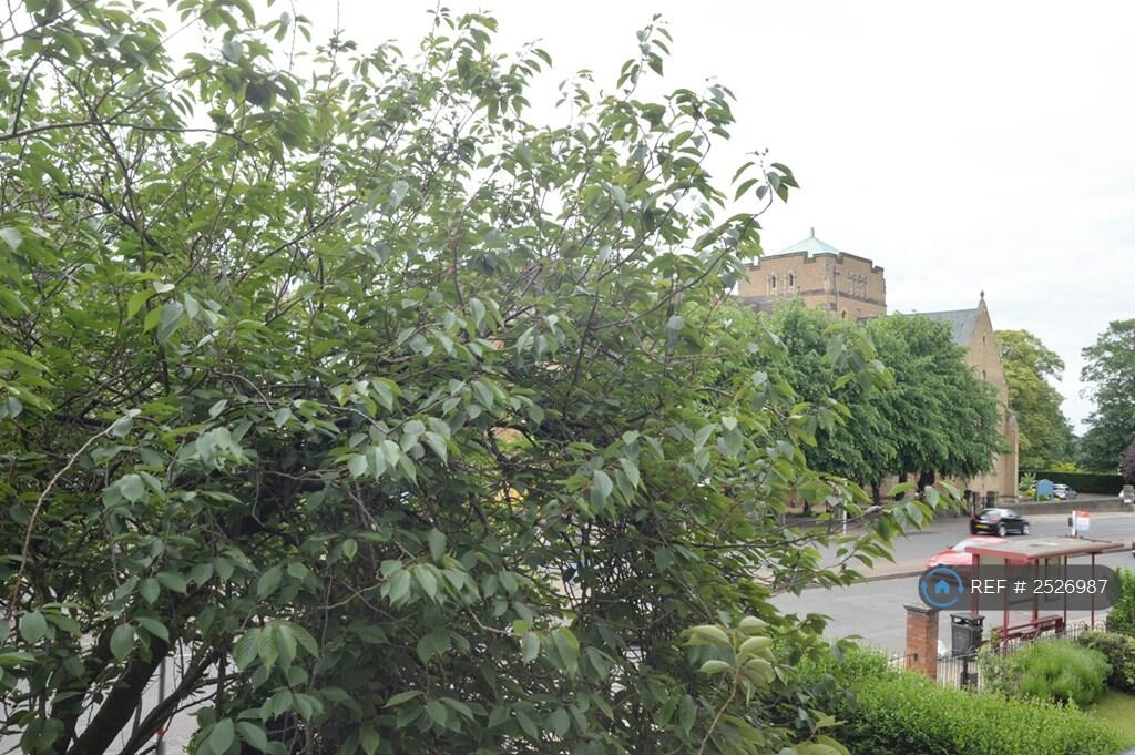 View From Lounge To Cathedral