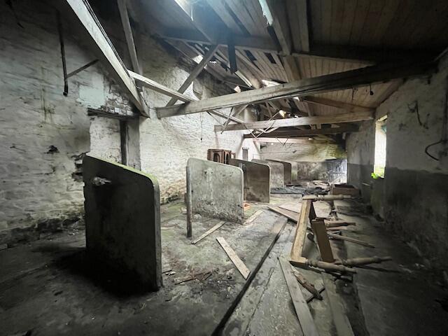 Image008 T202510101622.jpg