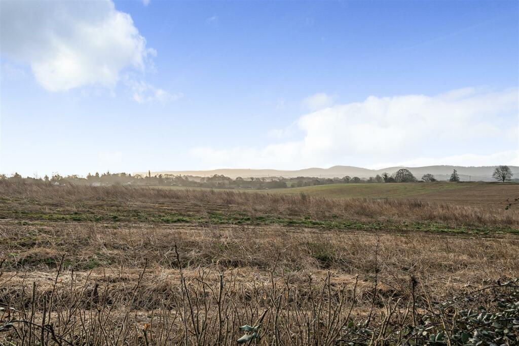 View of South Downs.jpg