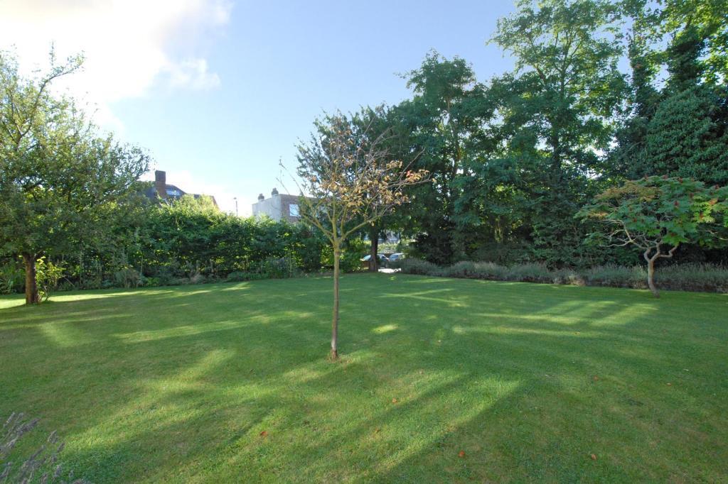 Communal Garden