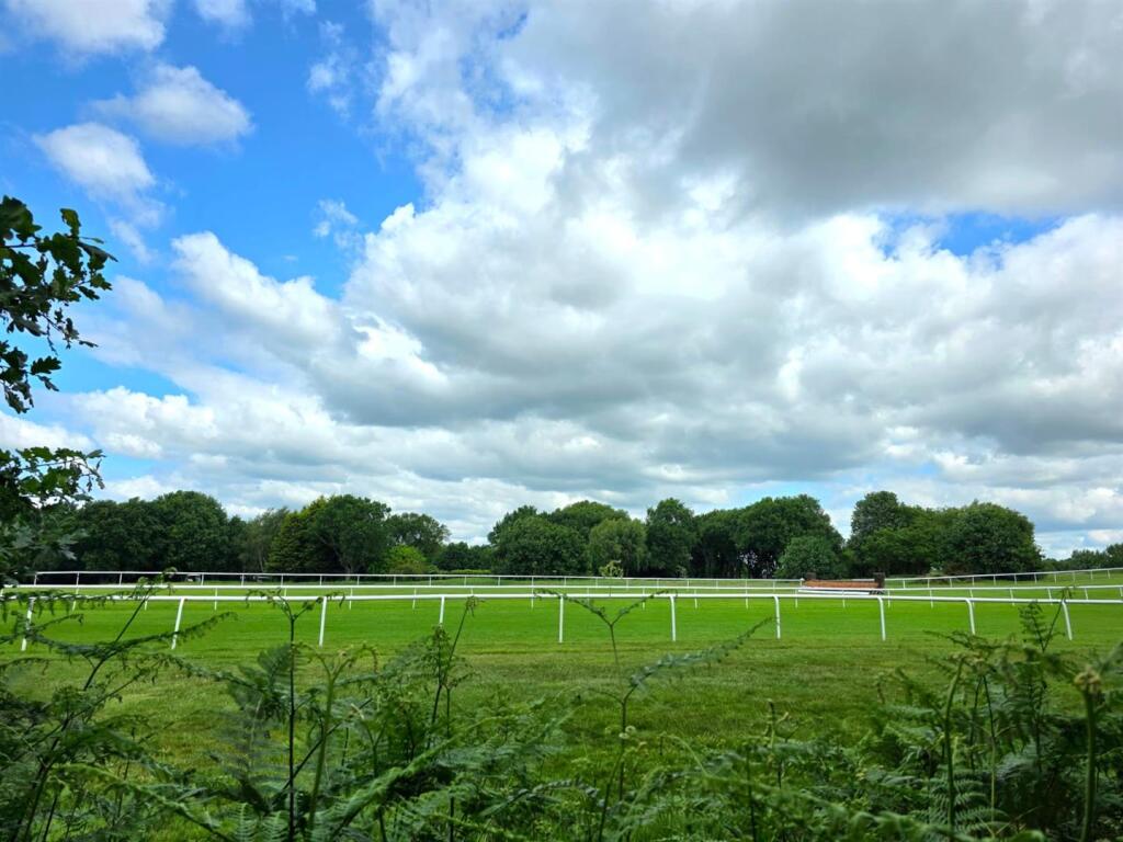 racecourse.jpg