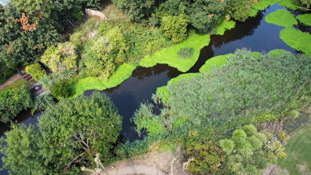 Drone shot