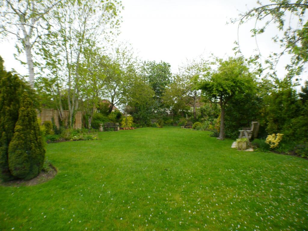 Communal Garden