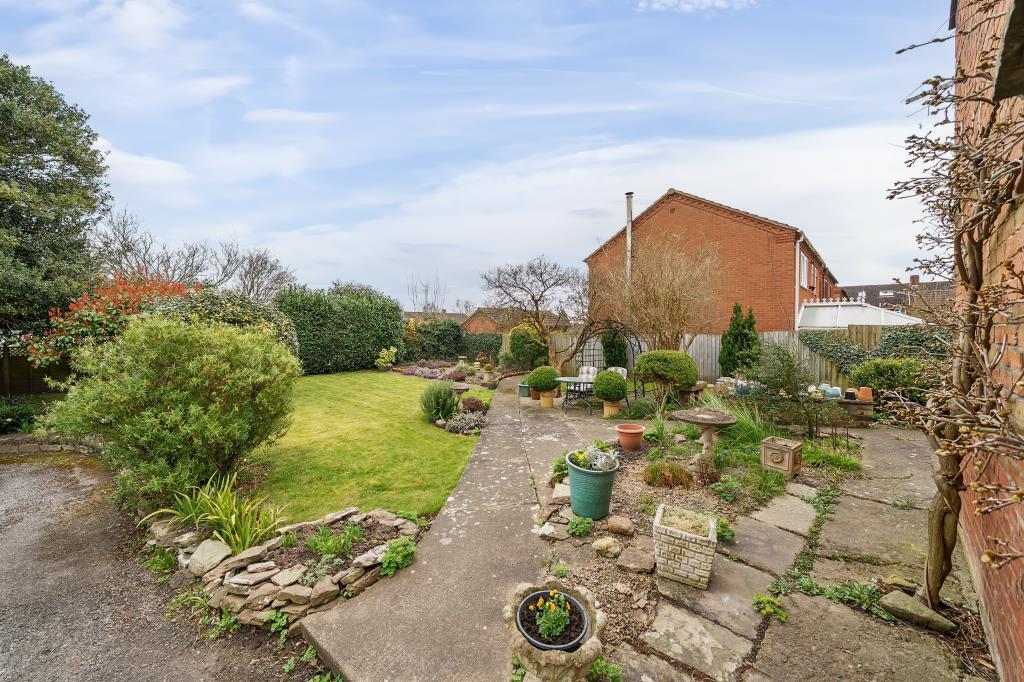 Photos