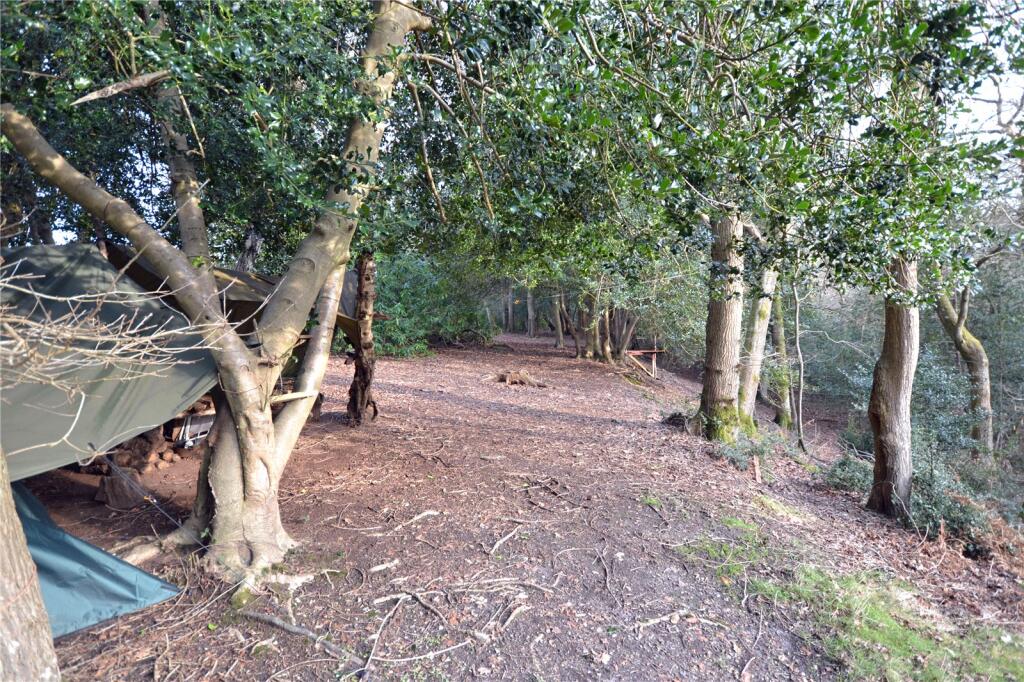 Cloisters Wood