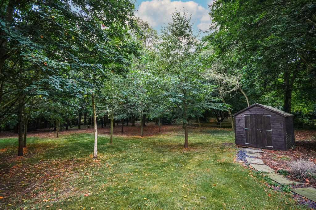 Woodland 