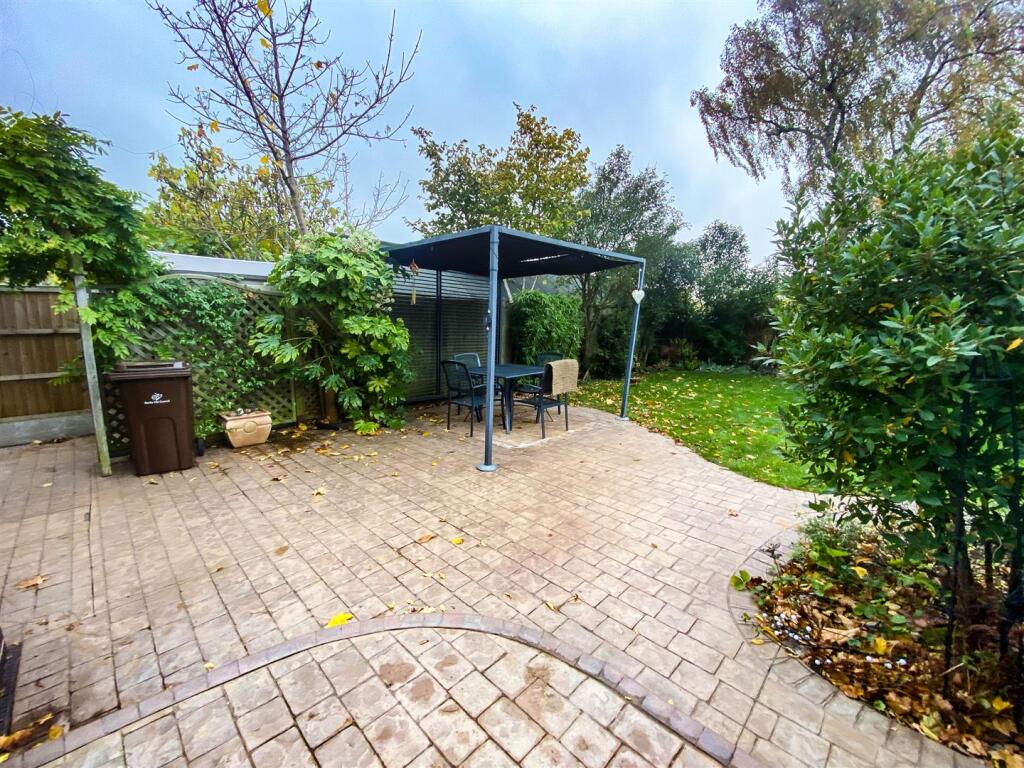 Monkey vs Owl Edit-1-7.jpg