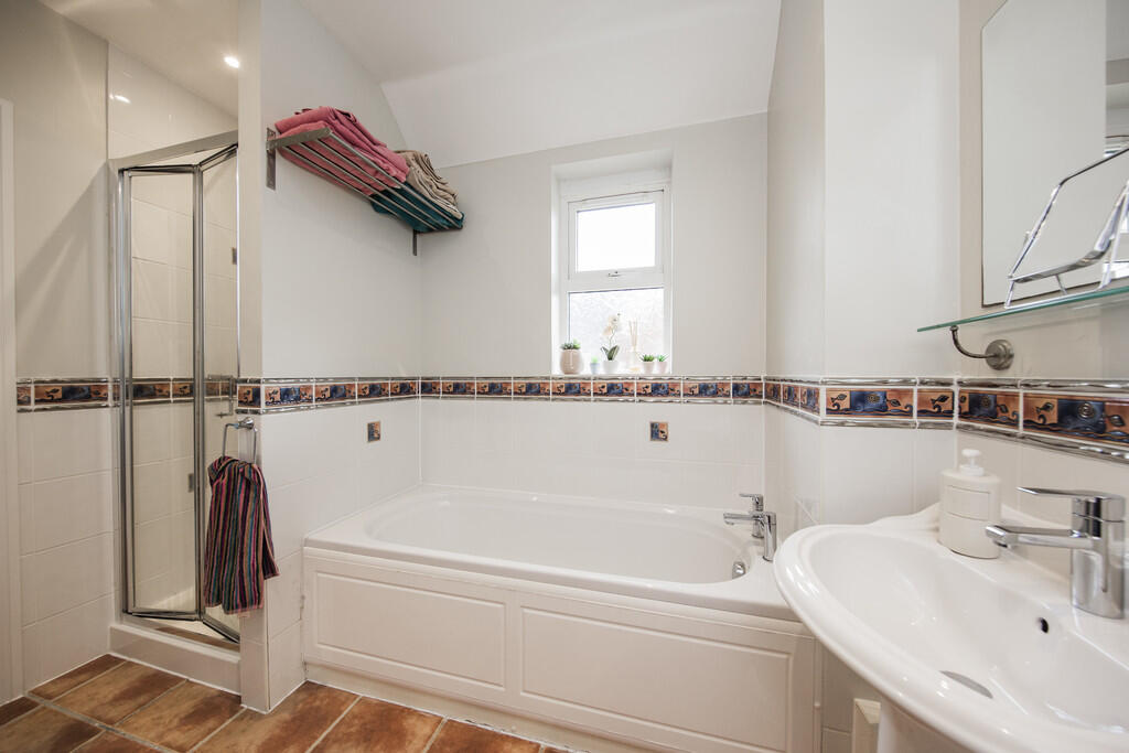 Bath Shower 1