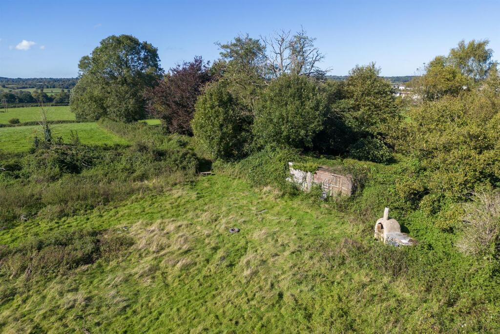 OakTreeNurseryDrone.9.jpg