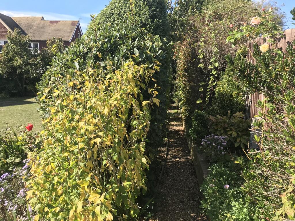 communal gardens