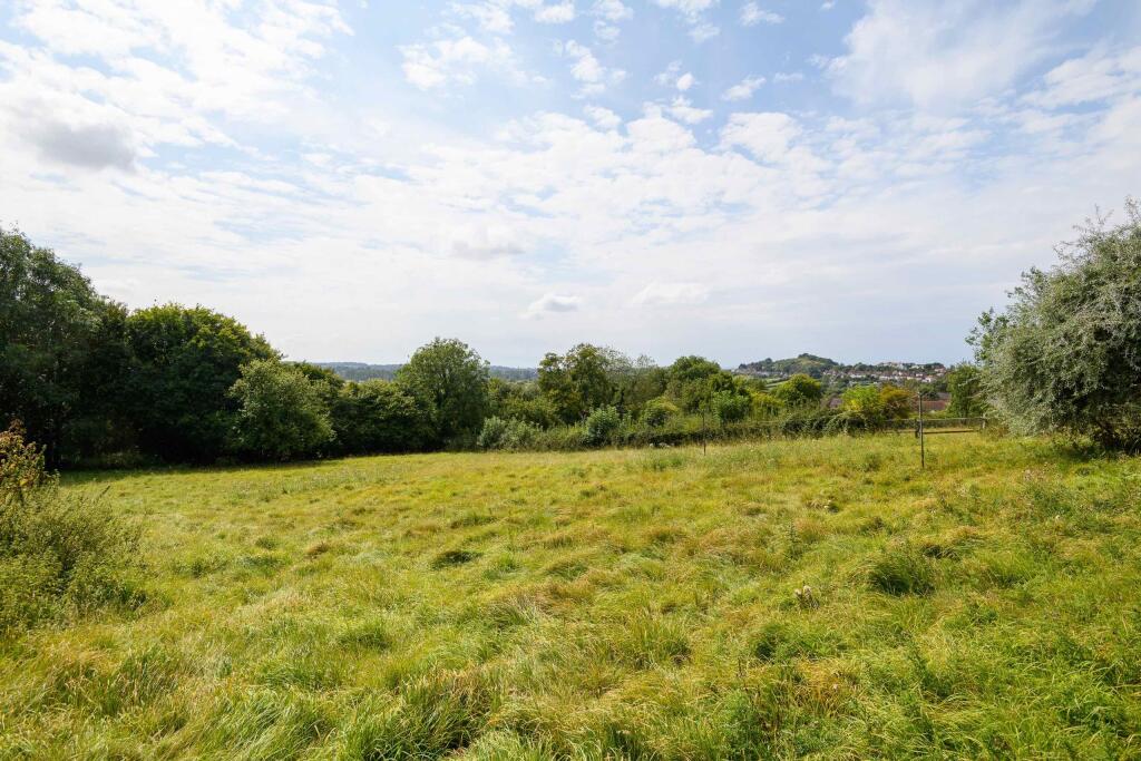 TEK HiRes 240827 026.jpeg