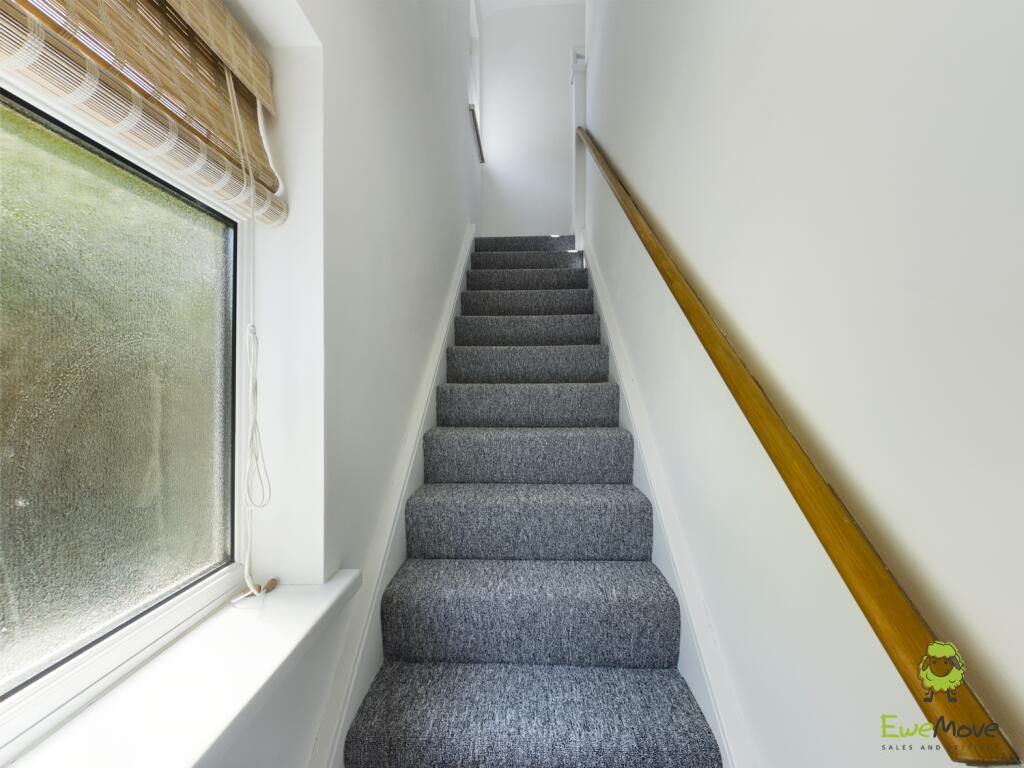 CAM00570P1-PR0191-STILL05