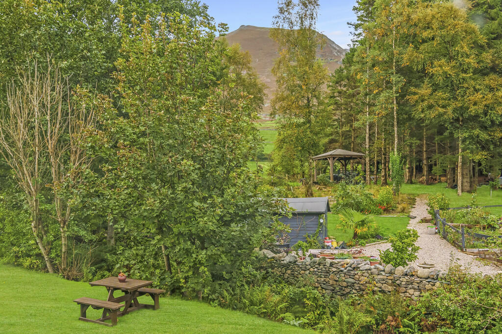 View from Garden