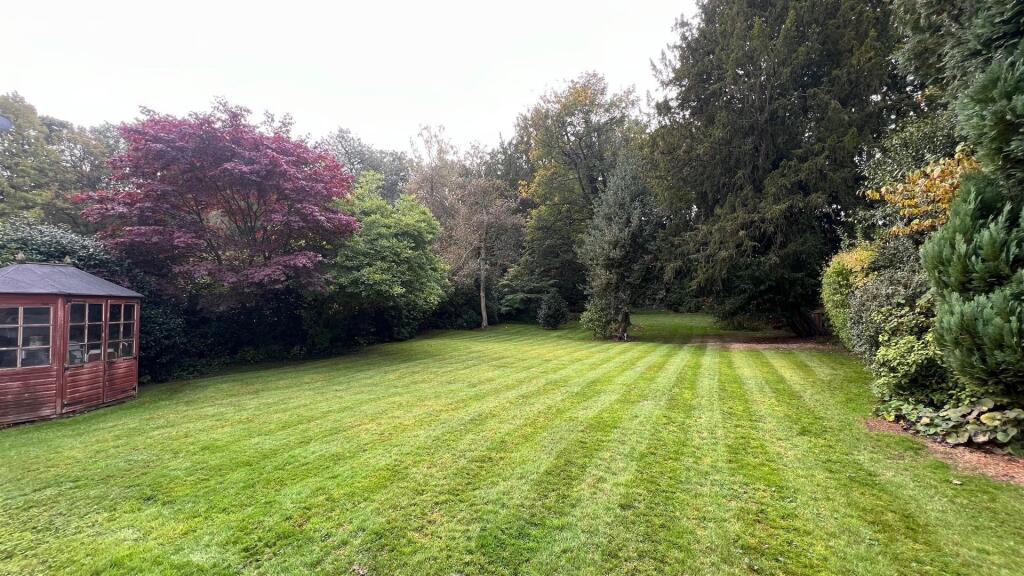 IMG_3118 (Large).jpeg