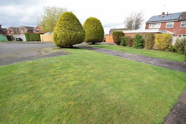 front garden