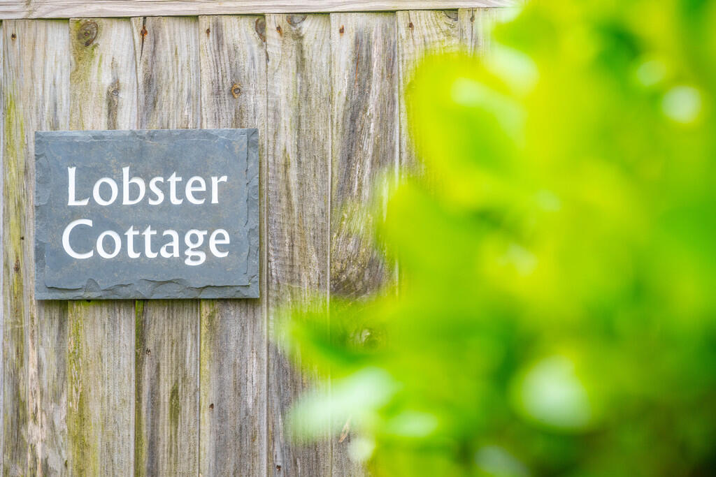 SAP_Langham_Lobst...