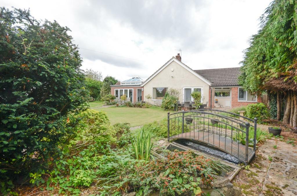 Front garden.jpg