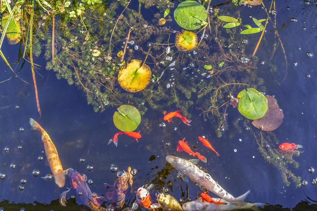 External Lifestyle Photograph