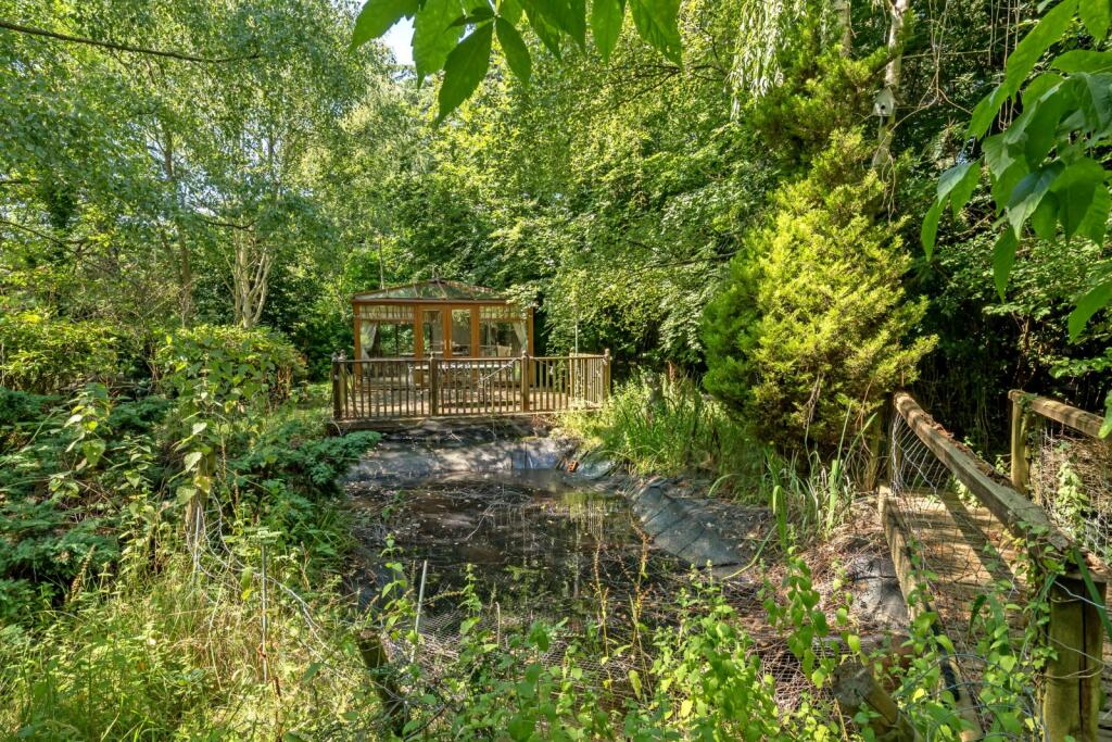 Pond
