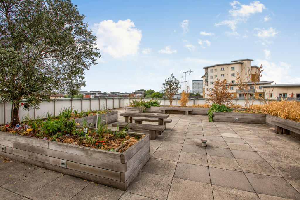Roof Terrace