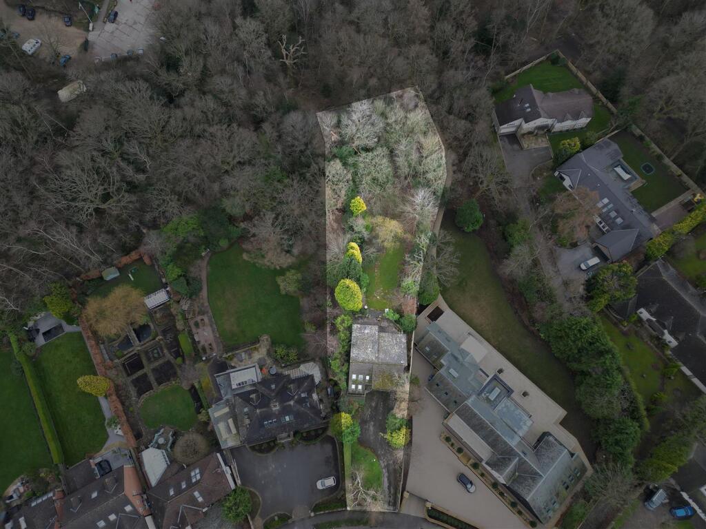 DJI_0909.JPG