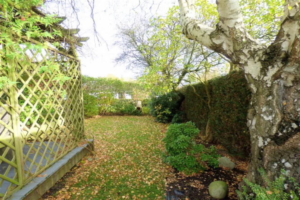 Side Garden