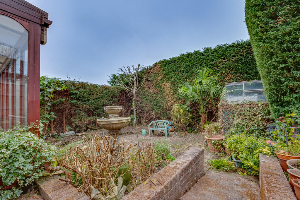 Back garden 1.1