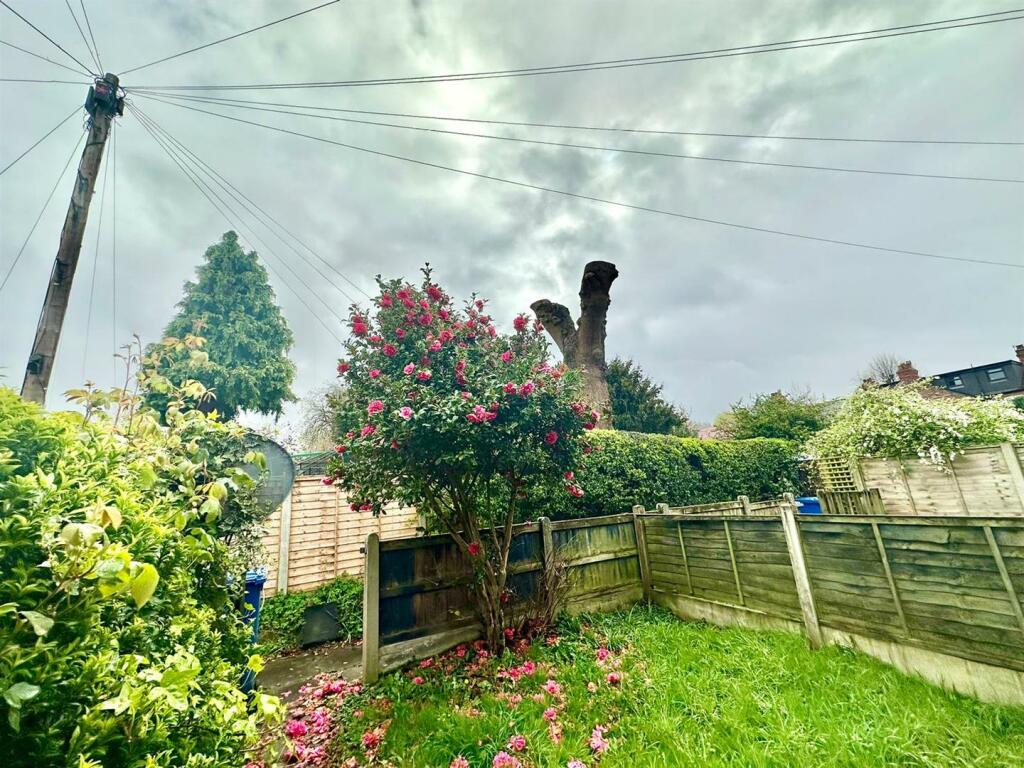 Garden .jpg