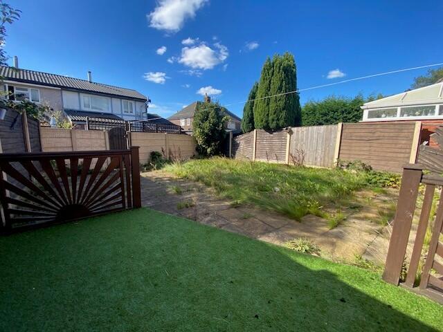 GARDEN T202509241201.jpg