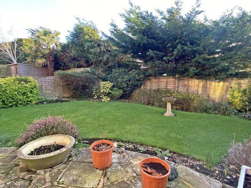 garden.jpg