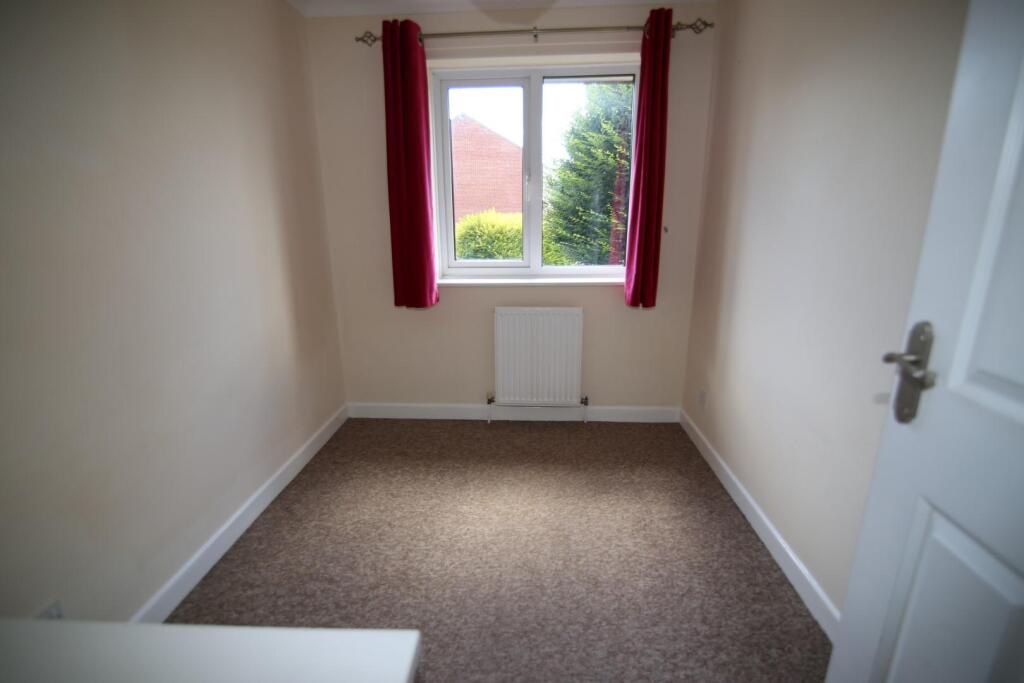 IMG_7333 (Large).JPG