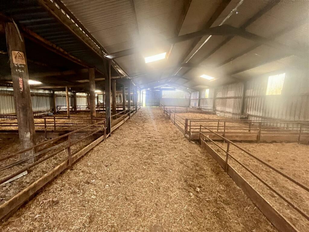 Sheep/ Lambing Shed