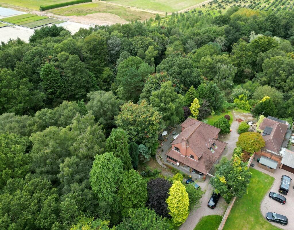 The property and ...