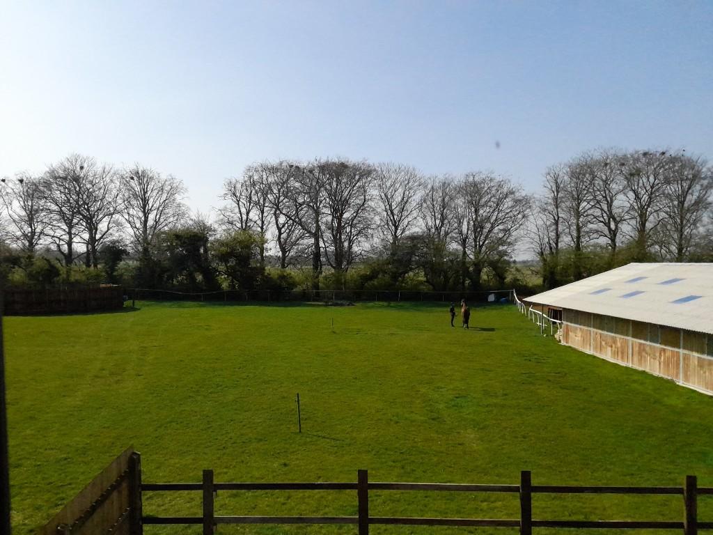 Paddock/Stables