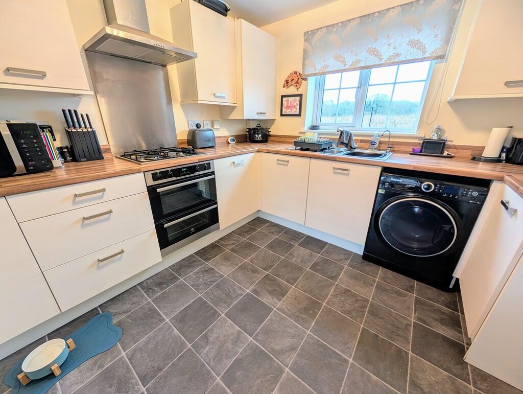 PXL_20250212_1137...