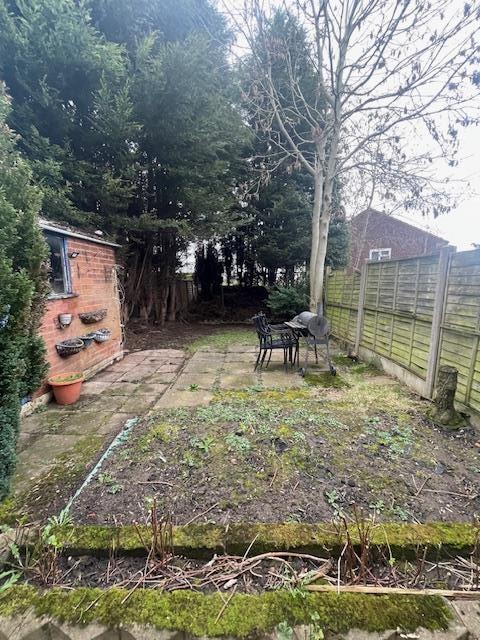 garden 2.jpg