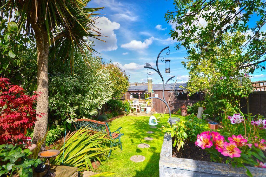 Garden 1.JPG