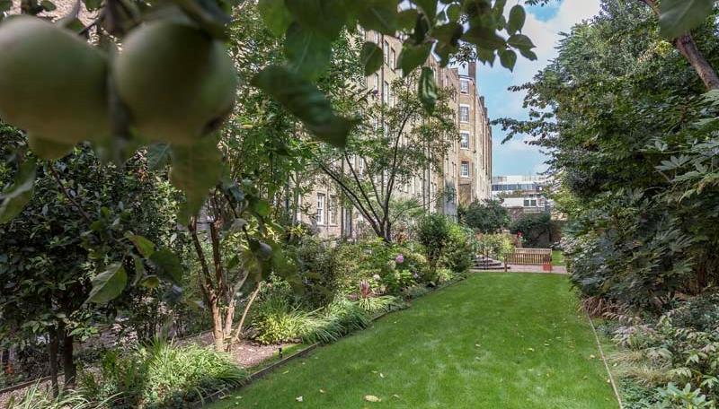 Communal Garden.jpg