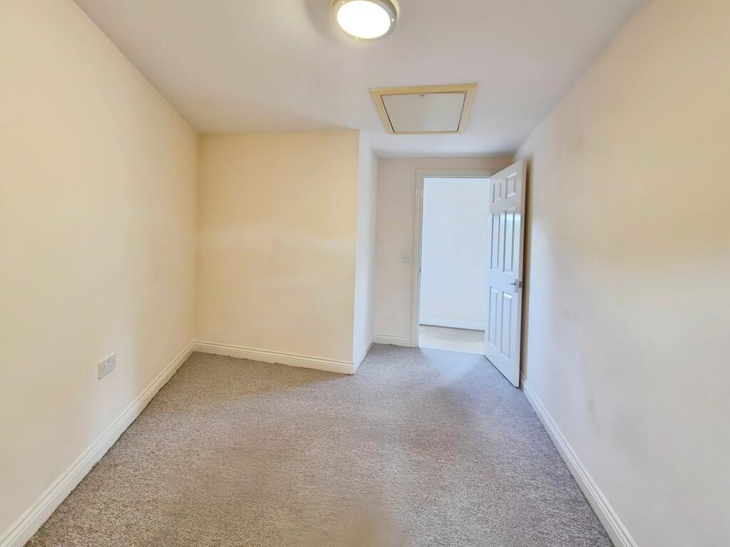 393e620d-10000295...