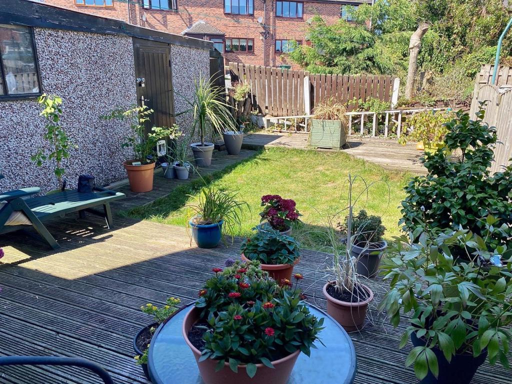 huddersfield road 214 garden.jpg