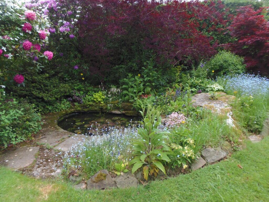 Pond Area