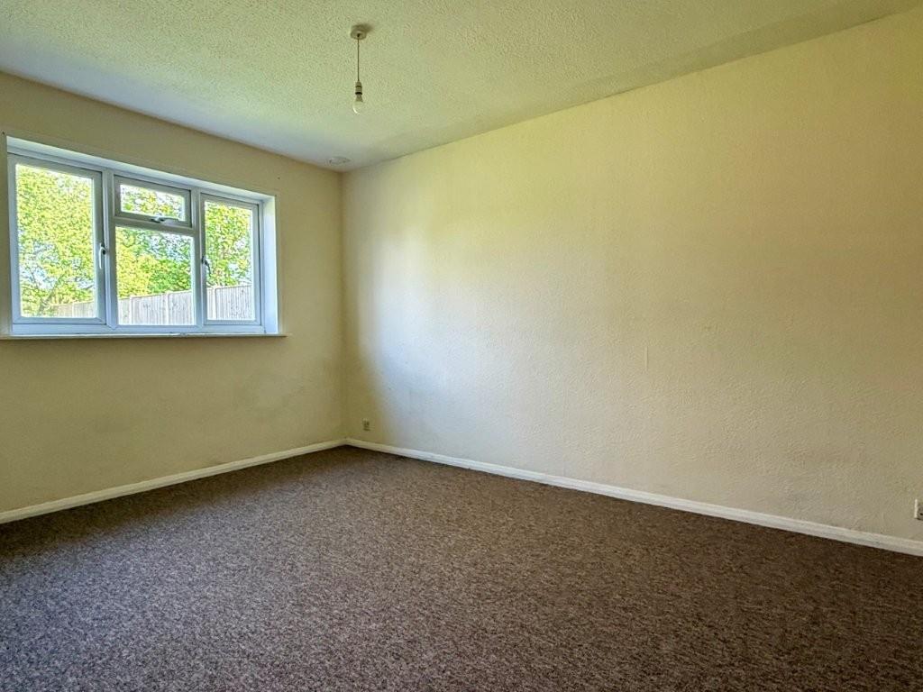 49120776.jpg