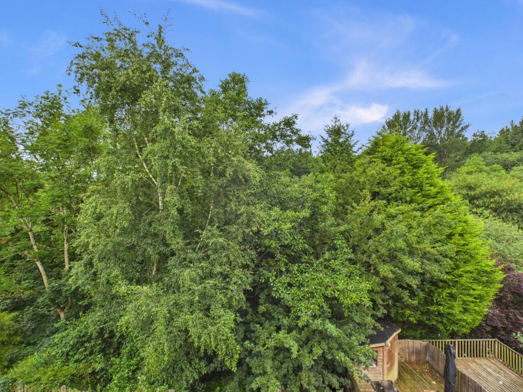 CAM03729G0-PR0080-STILL031