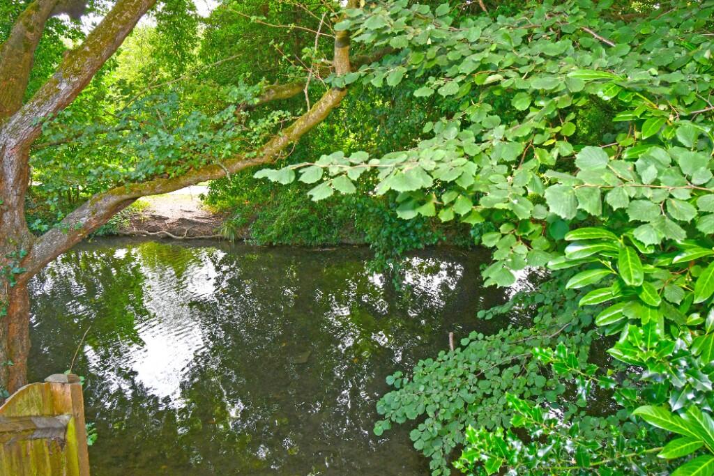 Mill Stream View