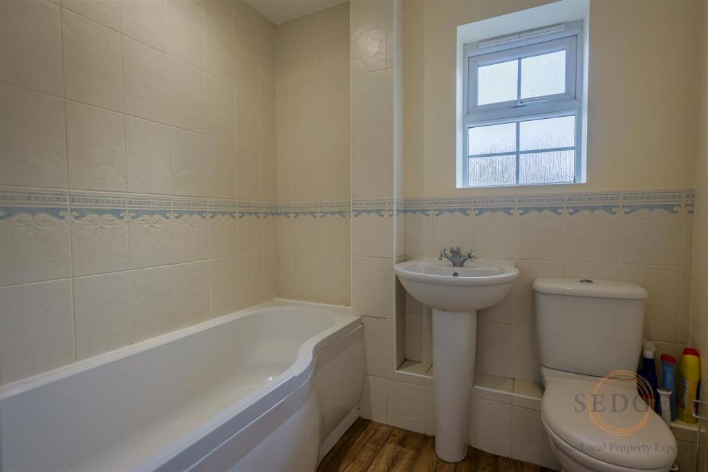 4 mallard close -10.jpg