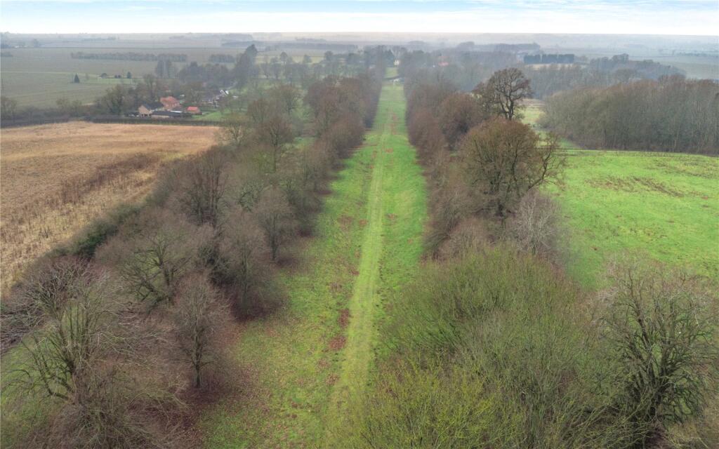 The Avenue