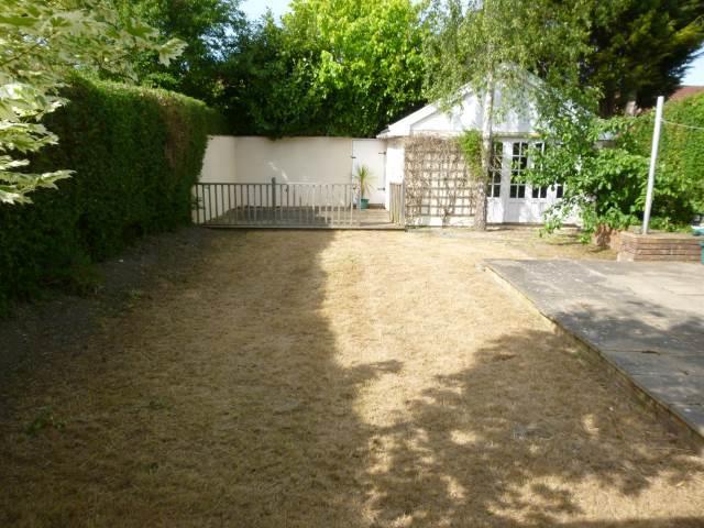 Garden.JPG